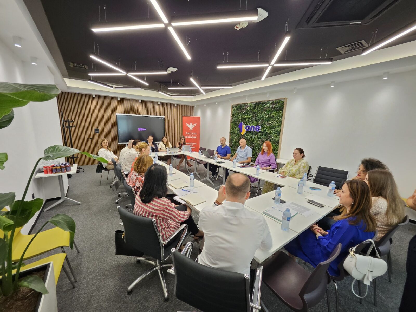 Meeting of the Committee for Labor Relations with representatives of the Ministry of Labor and Social Welfare, June 25, 2024.